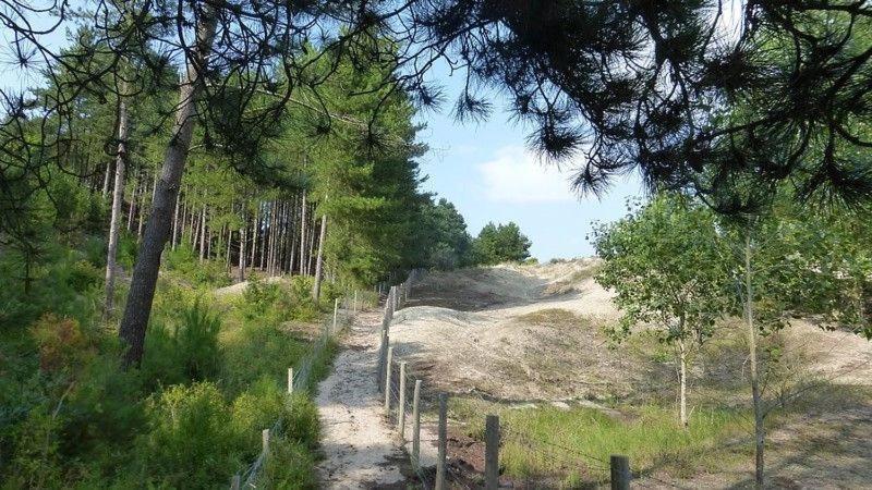 Hamac - Vue Mer - 100M Plage Berck ภายนอก รูปภาพ